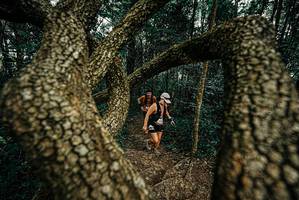 BIB: 
                            <button type="button" onclick="openModal(25668807)" class="btn btn-primary btn-sm float-right btn-popup" data-toggle="modal" data-target=".modal-high-quality">
                        <i class="fas fa-shopping-cart"></i> Add to Cart
                    </button>
                                            <button type="button" onclick="isThisMe(25668807, true)" class="btn btn-success btn-sm float-right btn-popup btn-isme hidden" data-toggle="tooltip" data-placement="bottom" title="นี่คือรูปของคุณใช่ไหม คลิกที่นี่เพื่อเอาเข้าอัลบั้ม">
                        <i class="fas fa-plus"></i> Add to album
                    </button>
                    <button type="button" onclick="isThisMe(25668807, false)" class="btn btn-warning btn-sm float-right btn-popup btn-isnotme hidden">
                        <i class="fas fa-ban"></i> Remove from album
                    </button>